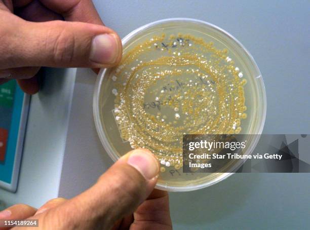 Minneapolis, MN 10/5/01- Researcher David Sherman of the University of Minnesota , has been searching for a cure for smallpox, a disease that has...