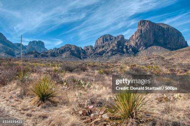 big bend national park, tx - presidio stock-fotos und bilder