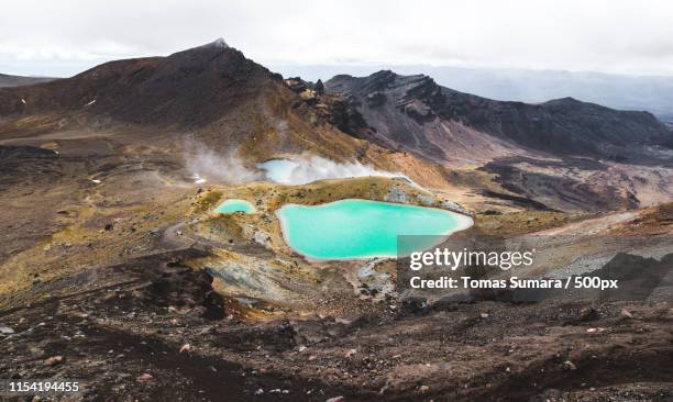 tongarino alpine crossing - spring mountains stock pictures, royalty-free photos & images