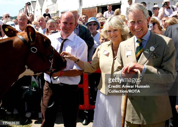 Prince Charles, Prince of Wales and Camilla, Duchess of Cornwall meet an Ayrshire cow during their visit to the 148th Great Yorkshire Show in...