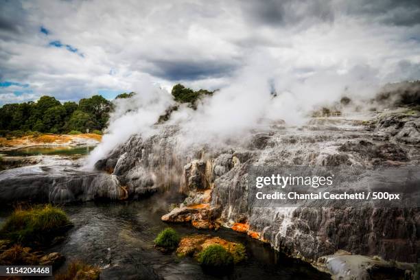 geyser - rotorua stock-fotos und bilder