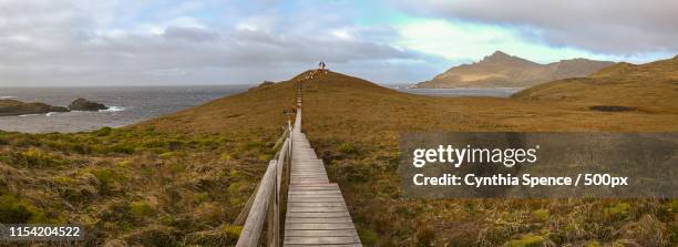 cape horn, tierra del fuego, chile - tierra del fuego province chile stock pictures, royalty-free photos & images