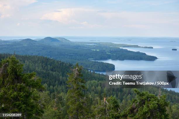 summer landscape at the koli national park in finland - teemu tretjakov stock pictures, royalty-free photos & images