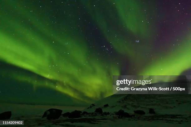 aurora shining over a bay - nunavut stock pictures, royalty-free photos & images