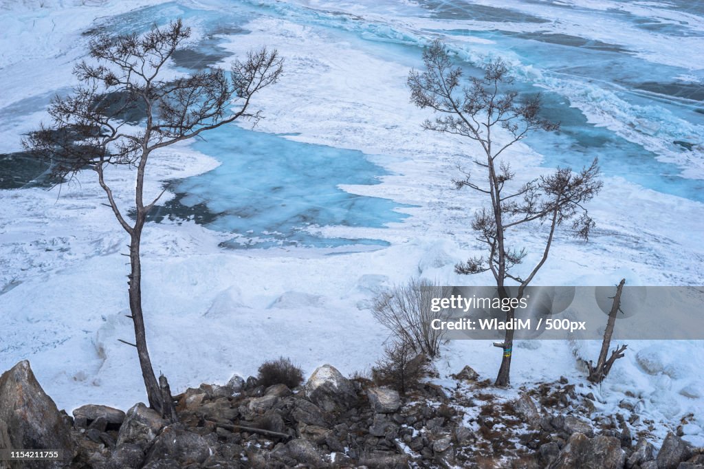 Winter Scene