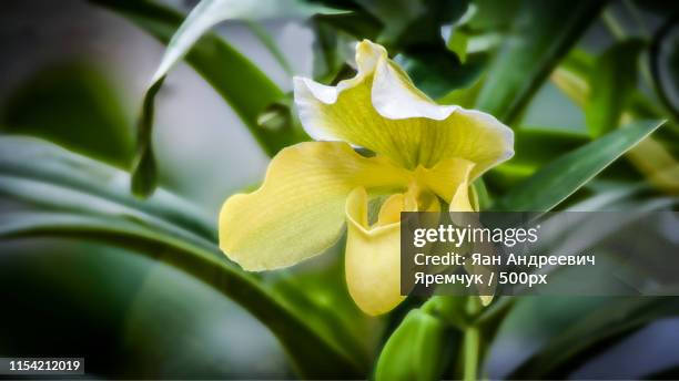 Kose Tallinn Photos and Premium High Res Pictures Getty Images