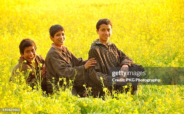 children in mustard field - vale de caxemira - fotografias e filmes do acervo