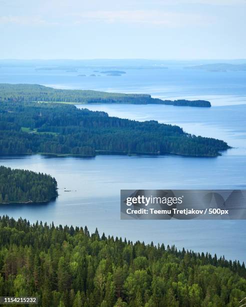 summer landscape at the koli national park in finland - teemu tretjakov stock pictures, royalty-free photos & images