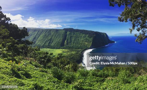 waipio valley lookout - waimea valley stock pictures, royalty-free photos & images