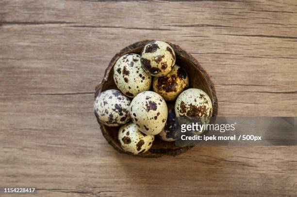 quail eggs on brown wooden background flat lay, top view - ipek morel stock pictures, royalty-free photos & images
