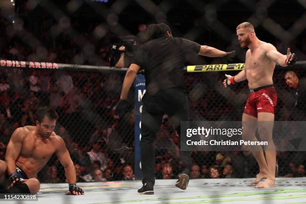 Jan Blachowicz of Poland celebrates his win over Luke Rockhold in their light heavyweight fight during the UFC 239 event at T-Mobile Arena on July 6,...