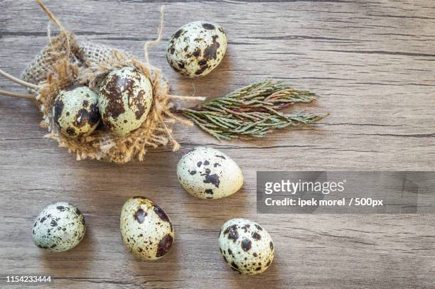 quail eggs on brown wooden background flat lay, top view - ipek morel 個照片及圖片檔