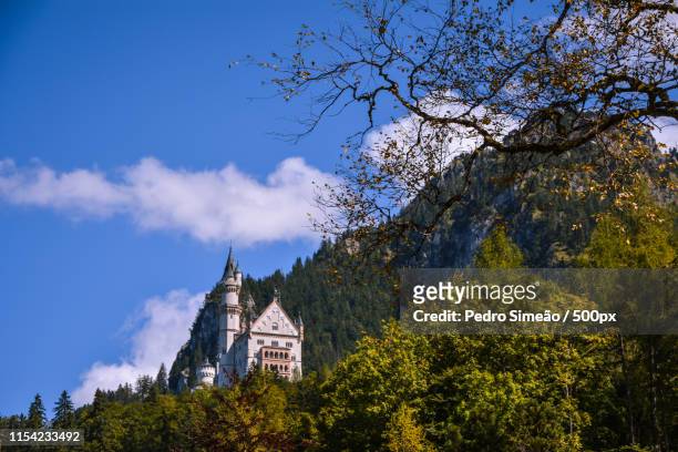 castle on a hill - neuschwanstein stock-fotos und bilder