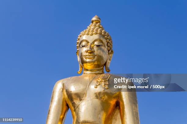 golden buddha statue in golden triangle - ipek morel stock pictures, royalty-free photos & images