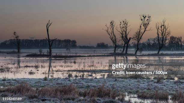 sunrise at bourgoyen - gent belgien stock-fotos und bilder