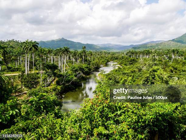 El Yunque Rocks Color El Yunque Rainforest Photos and Premium High Res Pictures - Getty Images