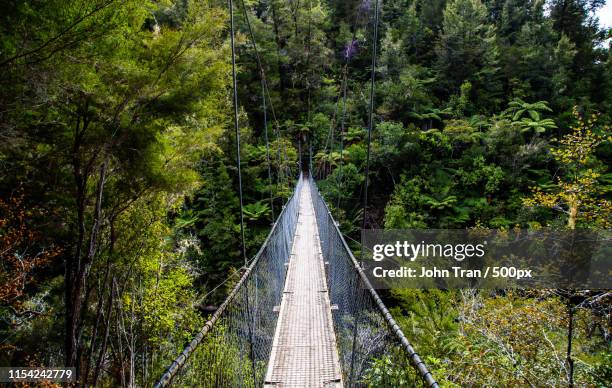 abel tasman - river bridge crossing - abel tasman nationalpark stock-fotos und bilder