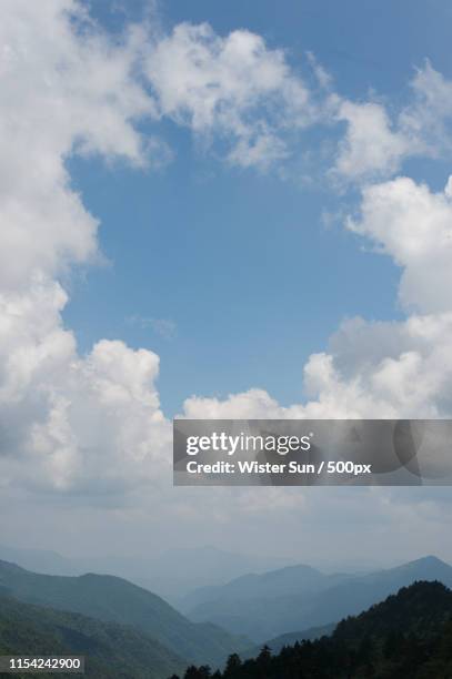 shennongjia forest - 森林 - fotografias e filmes do acervo