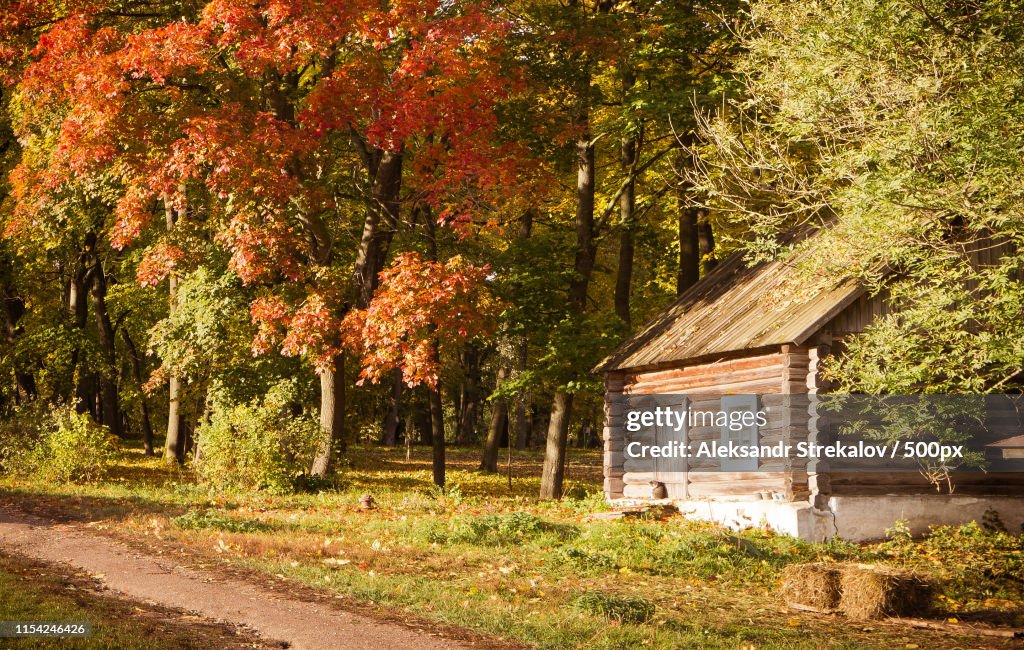 Autumn Landscape In Yasnaya Polyana