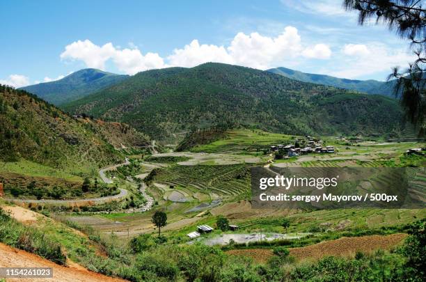 lobesa valley with monastery chimi lhakhang - paro stock pictures, royalty-free photos & images