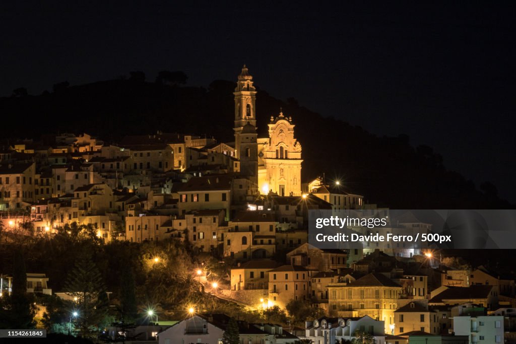 Cervo In The Night