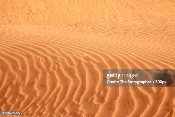 shapes of the sand - the storygrapher - fotografias e filmes do acervo