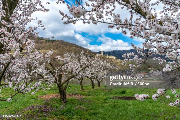 Spring In Nebraska 826 Nebraska Spring Stock Photos, High-Res Pictures, and Images - Getty ...
