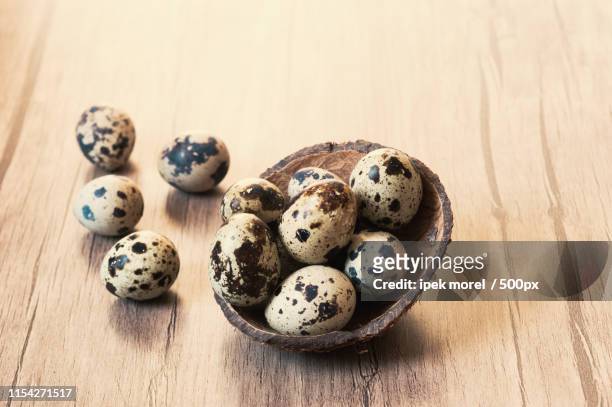 quail eggs on brown wooden background easter concept - ipek morel stock pictures, royalty-free photos & images