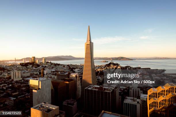 one - transamerica pyramid san francisco stock pictures, royalty-free photos & images