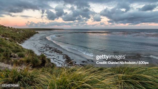 falkland sunrise - falklandinseln stock-fotos und bilder