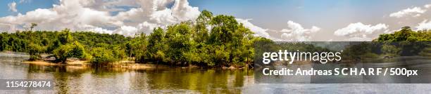 oyapock river in fench guiana - french guiana stockfoto's en -beelden