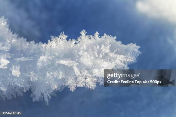 ice crystal structure - disney on ice stock pictures, royalty-free photos & images