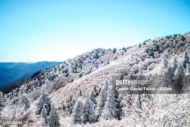 snow-covered hillside in great smoky mountains - gatlinburg winter stock pictures, royalty-free photos & images