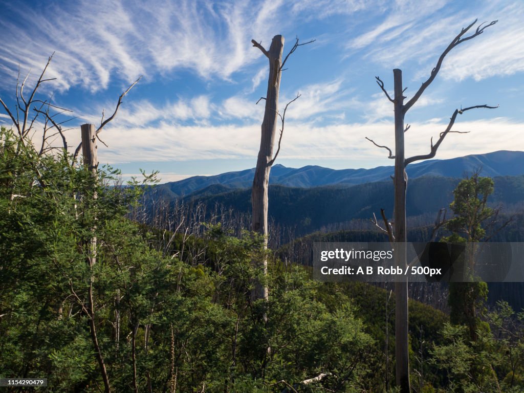 Railsback Ridge Razorback Ridge High-Res Stock Photo - Getty Images
