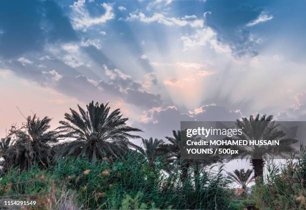 Mohamed Riad Math 321 Mohamed Riad Stock Photos, High-Res Pictures, and Images - Getty Images