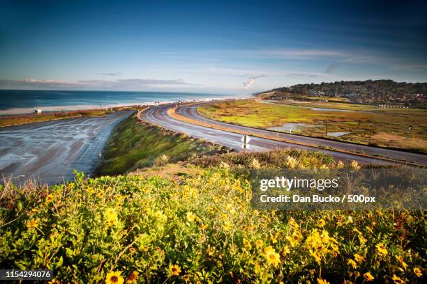 pacific coast highway torrey pines california - la jolla stock pictures, royalty-free photos & images