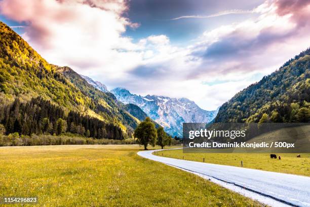 logar valley slovenia - dominik konjedic stock pictures, royalty-free photos & images