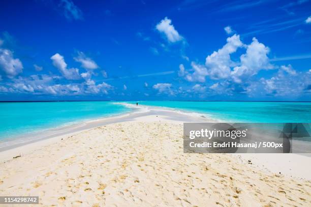 lonely girl walking at the beach in maldives - barrière de sable photos et images de collection
