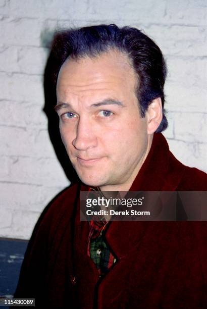 James Belushi during James Belushi sighting in Midtown - March 16, 1993 at Streets of New York in New York City, New York, United States.