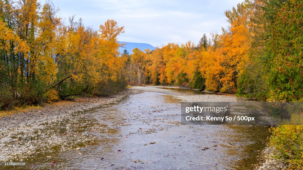 Adams River