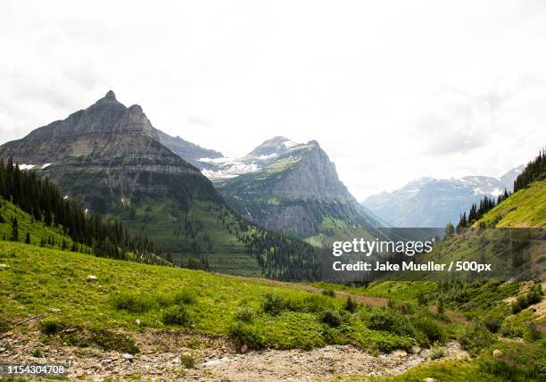 mountain landscape - columbia falls stock pictures, royalty-free photos & images