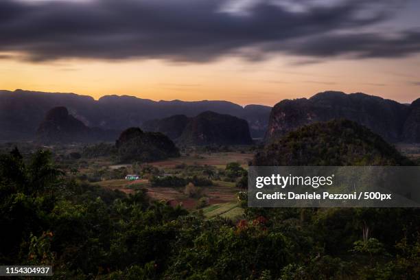 vinales - viñales cuba 個照片及圖片檔