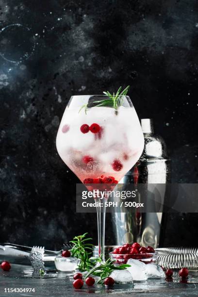 cranberry cocktail with ice, fresh rosemary and red berries in b - gin tasting stock pictures, royalty-free photos & images