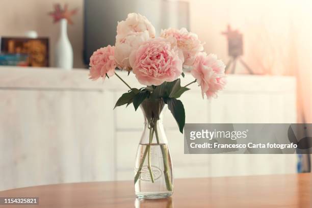 vase of peonies - still life foto e immagini stock