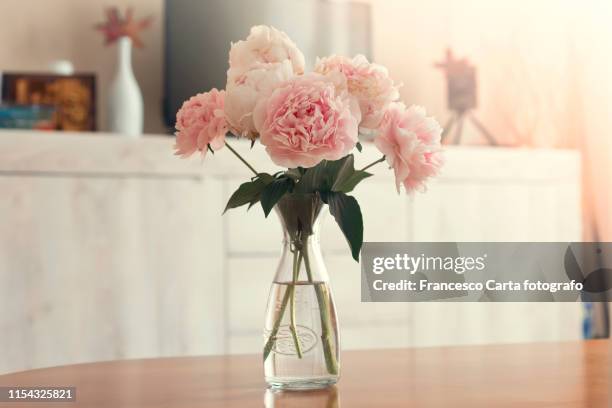 vase of peonies - peonies bouquet stock pictures, royalty-free photos & images