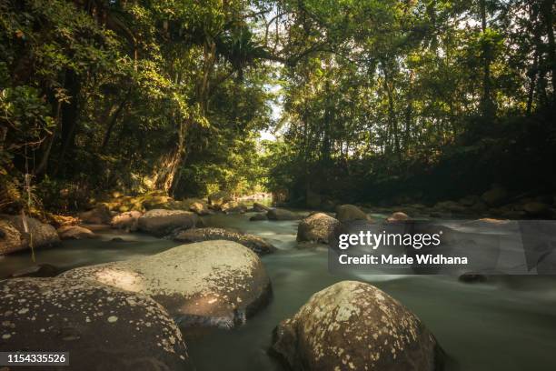 river water slow motion flow - made widhana stock pictures, royalty-free photos & images