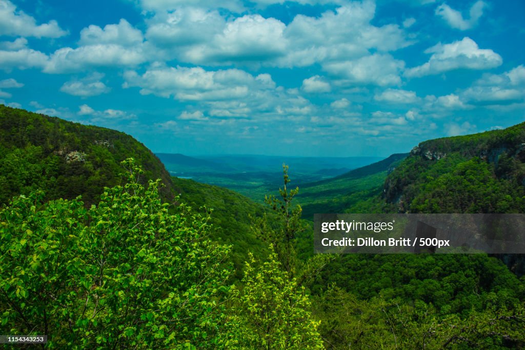 Cloudland Canyon View