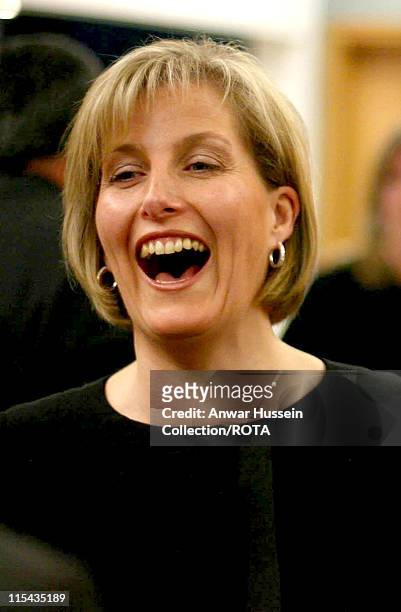 Sophie, Countess of Wessex laughs as she attends the ChildLine Patrons awards at the BT Tower in London on May 2, 2006. The awards honoured 11...