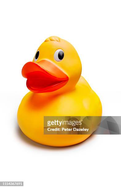 duck with humourous face on white background - pato de juguete fotografías e imágenes de stock