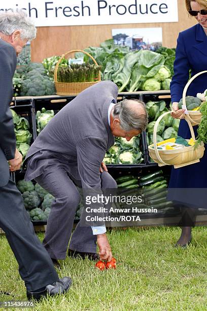 Prince Charles, the Prince of Wales, picks up some tomatoes during a visit to Fentongollan Farm near Truro on13 June, 2006. The farm produces 80% of...